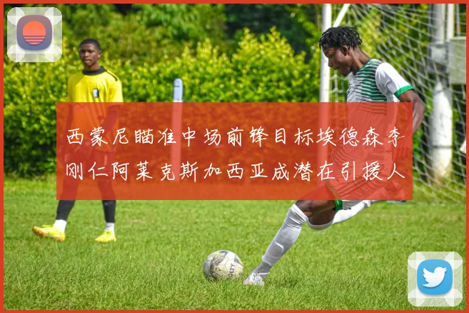 西蒙尼瞄准中场前锋目标埃德森李刚仁阿莱克斯加西亚成潜在引援人选